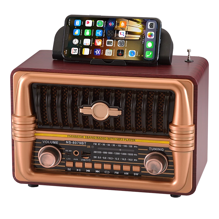 رادیو رومیزی 8079BT